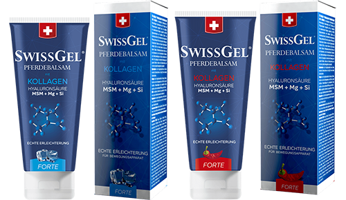 SwissGel Pferdebalsam mit Meereskollagen